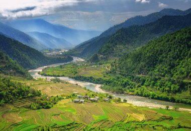 Bhutan yakınındaki Punakha Vadisi pirinç tarlaları ve tipik ev sahipliği yapmaktadır. Butan için seyahat ve çiftlikler ve dağlar bu Budist ülkede güzel manzara keyfini çıkarın.