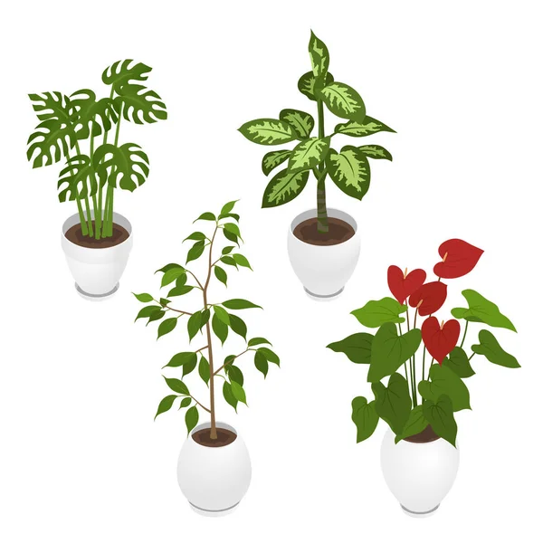 Set Potted Indoor Office House Plants Collection Flower Pots Plate — Stock Vector