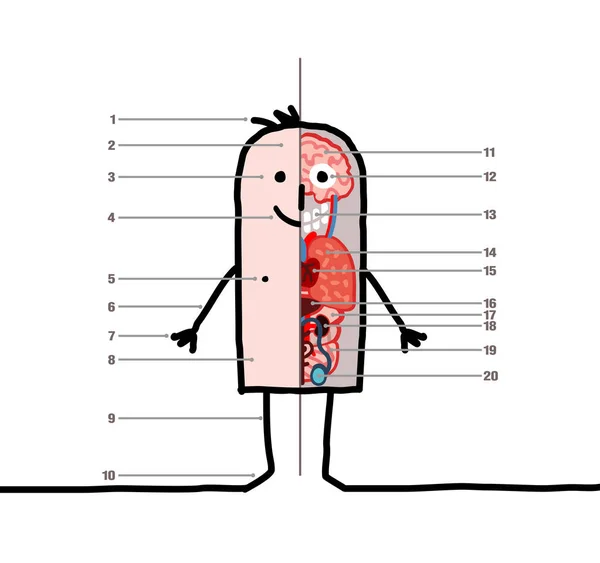 Personaje Dibujos Animados Lección Anatomía —  Fotos de Stock