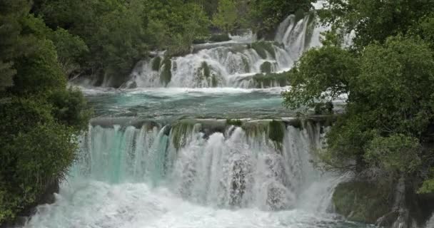 Skradins Waterfall Skradinski Buk Parque Natural Krka Cerca Sibenik Damaltia — Vídeo de stock