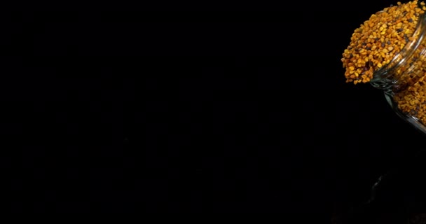 Gnocchi Polline Che Cadono Sfondo Nero Stoviglie Movimento Lento Video Stock C Slowmotiongli 313231242