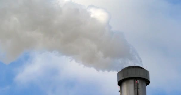 Waterdamp Die Uit Schoorsteen Van Een Verbrandingsoven Komt Buurt Van — Stockvideo