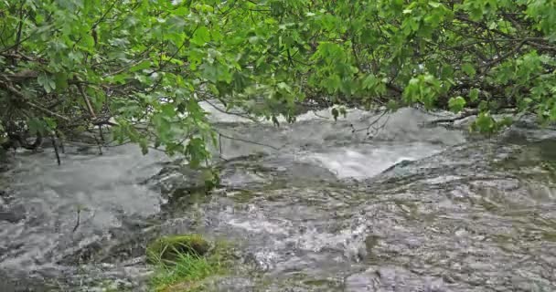 Skradins Waterfall Skradinski Buk Krka Naturpark Nära Sibenik Damaltia Kroatien — Stockvideo