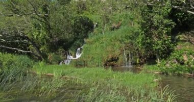 Rog Şelalesi, Roski Tokadı, Krka Doğal Parkı, Hırvatistan 'ın Damaltia kentinde Sibenik yakınlarında 