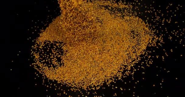 Pollen Gombócok Esik Fekete Háttér Lassú Mozgás — Stock videók