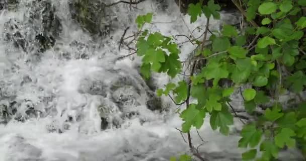 Skradins Waterfall Skradinski Buk Parque Natural Krka Cerca Sibenik Damaltia — Vídeos de Stock