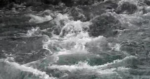 Rog Waterfall Roski Slap Krka Natural Park Près Sibenik Damaltia — Video