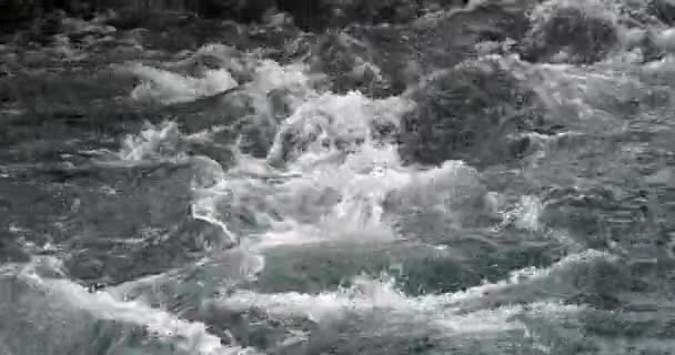 Rog Waterfall Roski Slap Krka Naturpark Nära Sibenik Damaltia Kroatien — Stockvideo