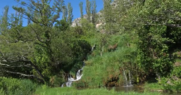 Водопад Рог Роски Слап Природный Парк Крка Неар Шибенч Дамалтии — стоковое видео