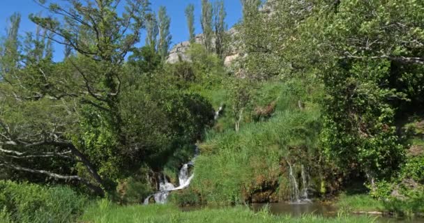 Cascata Rog Roski Slap Parco Naturale Krka Vicino Sibenik Damaltia — Video Stock