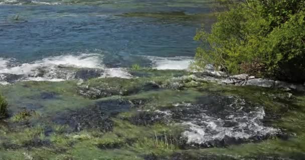 Rog Şelalesi Roski Tokadı Krka Doğal Parkı Hırvatistan Damaltia Kentinde — Stok video