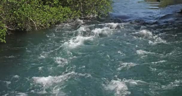 Rog Wasserfall Roski Slap Krka Naturpark Nahe Sibenik Damaltia Kroatien — Stockvideo