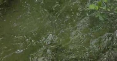 Skradins Şelalesi, Skradinski Buk, Krka Doğal Parkı, Hırvatistan 'ın Damaltia kentinde Sibenik yakınlarında