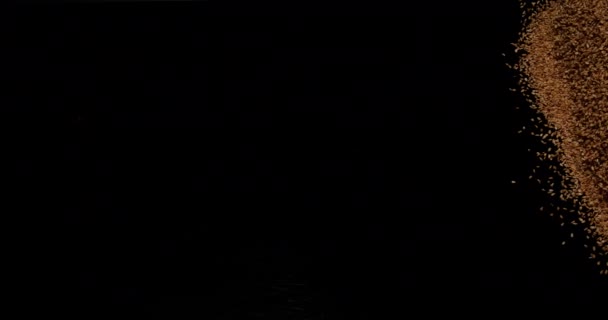 Сезам Золотистого Кольору Індикатор Кунжуту Насіння Падає Чорний Фон Повільний — стокове відео