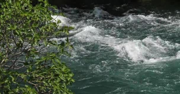 Rog Waterfall Roski Slap Krka Naturpark Nära Sibenik Damaltia Kroatien — Stockvideo