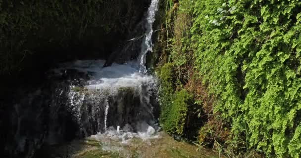 Rog Waterfall Roski Slap Krka Natural Park Κοντά Στο Σίμπενικ — Αρχείο Βίντεο