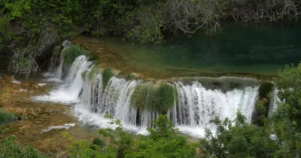 Skradins Waterfall Skradinski Buk Krka Natural Park Perto Sibenik Damaltia — Vídeo de Stock