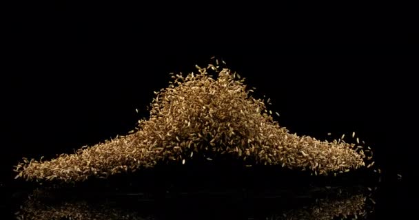 Seeds Fennel Foeniculum Vulgare Exploding Black Background Slow Motion — Stock Video