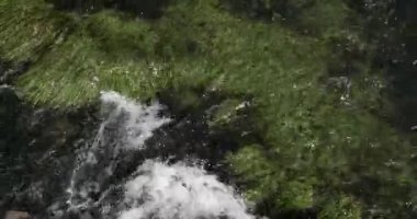 Rog Şelalesi, Roski Tokadı, Krka Doğal Parkı, Hırvatistan 'ın Damaltia kentinde Sibenik yakınlarında 