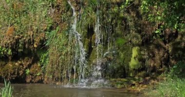 Rog Şelalesi, Roski Tokadı, Krka Doğal Parkı, Hırvatistan 'ın Damaltia kentinde Sibenik yakınlarında 