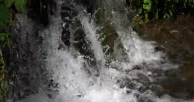 Rog Şelalesi, Roski Tokadı, Krka Doğal Parkı, Hırvatistan 'ın Damaltia kentinde Sibenik yakınlarında 