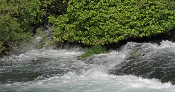 Rog Waterfall Roski Slap Parque Natural Krka Cerca Sibenik Damaltia — Vídeo de stock
