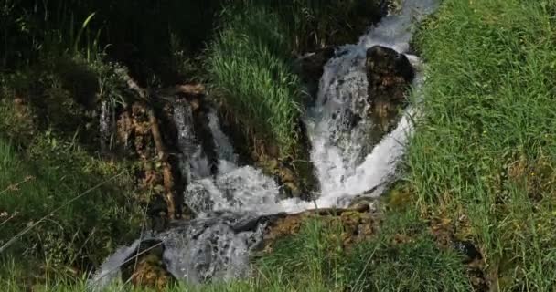 ログ滝 ロスキースラップ クルカ自然公園 ダマルティアのシベニク近く クロアチア — ストック動画