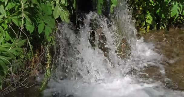 Rog Wasserfall Roski Slap Krka Naturpark Nahe Sibenik Damaltia Kroatien — Stockvideo