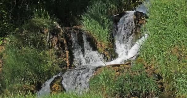Rog Waterfall Roski Slap Krka Natural Park Perto Sibenik Damaltia — Vídeo de Stock