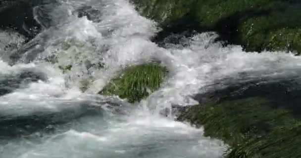 Rog Waterfall Roski Slap Krka Natural Park Perto Sibenik Damaltia — Vídeo de Stock