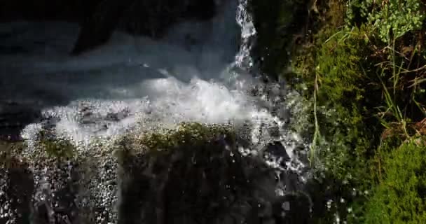 Rog Waterfall Roski Slap Parque Natural Krka Cerca Sibenik Damaltia — Vídeos de Stock