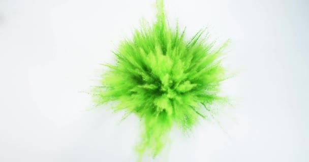 Poudre Holi Verte Explosant Sur Fond Blanc Mouvement Lent — Video