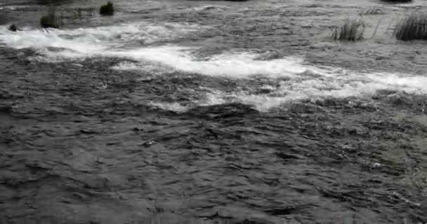 Водопад Рог Роски Слап Природный Парк Крка Неар Шибенч Дамалтии — стоковое видео