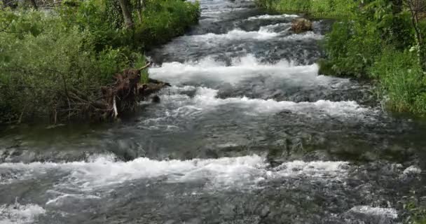 Водопад Рог Роски Слап Природный Парк Крка Неар Шибенч Дамалтии — стоковое видео