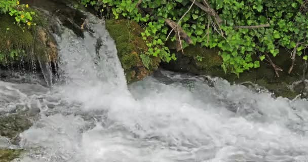 Skradins Waterfall Skradinski Buk Krka Natural Park Perto Sibenik Damaltia — Vídeo de Stock