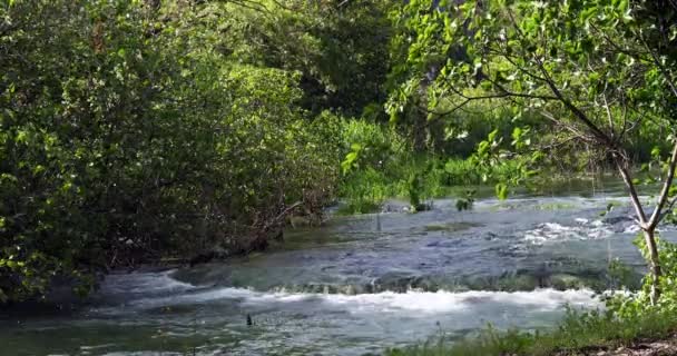Rog Waterfall Roski Slap Krka Naturpark Nära Sibenik Damaltia Kroatien — Stockvideo