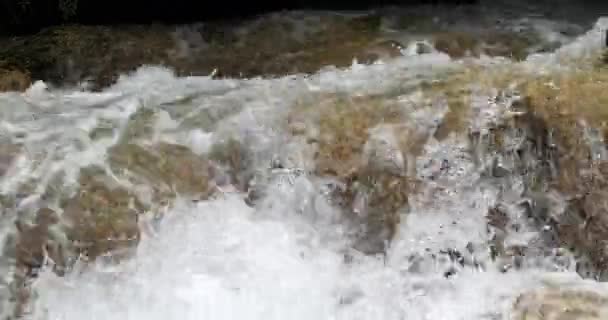 Cascata Skradins Skradinski Buk Parco Naturale Krka Vicino Sibenik Damaltia — Video Stock