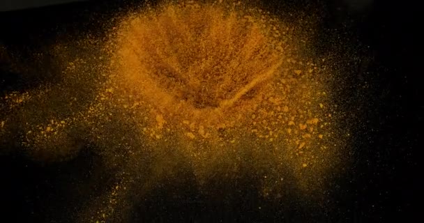 Turmeric Curcuma Longa Powder Exploding Black Background Indian Spice Slow — стокове відео