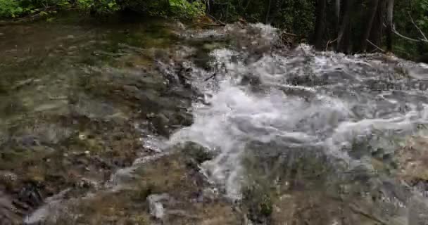 Skradins Şelalesi Skradinski Buk Krka Doğal Parkı Hırvatistan Damaltia Kentinde — Stok video