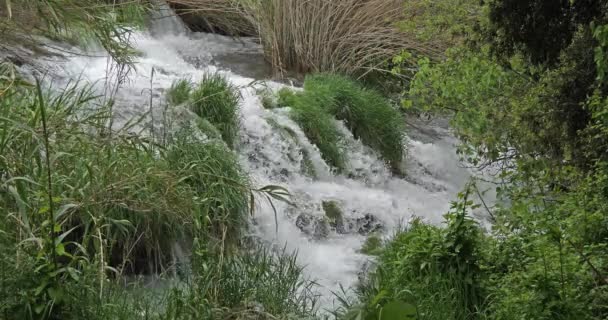 Skradins Şelalesi Skradinski Buk Krka Doğal Parkı Hırvatistan Damaltia Kentinde — Stok video