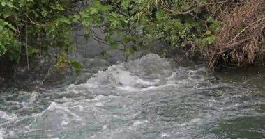 Skradins Şelalesi, Skradinski Buk, Krka Doğal Parkı, Hırvatistan 'ın Damaltia kentinde Sibenik yakınlarında