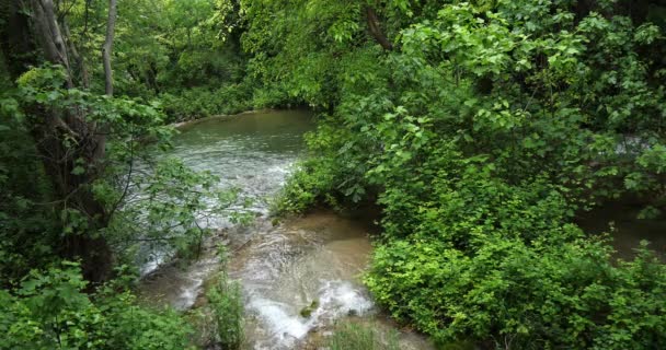 Водопад Сединьш Сединьский Бук Природный Парк Крка Неар Шибеньш Дамалтии — стоковое видео