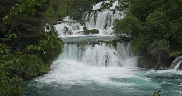 Skradins Waterfall Skradinski Buk Krka Natural Park Sibenik Damaltia Croatia — Stock Video