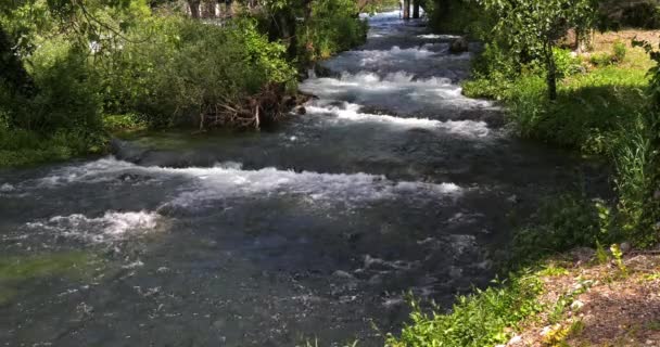 Водопад Рог Роски Слап Природный Парк Крка Неар Шибенч Дамалтии — стоковое видео