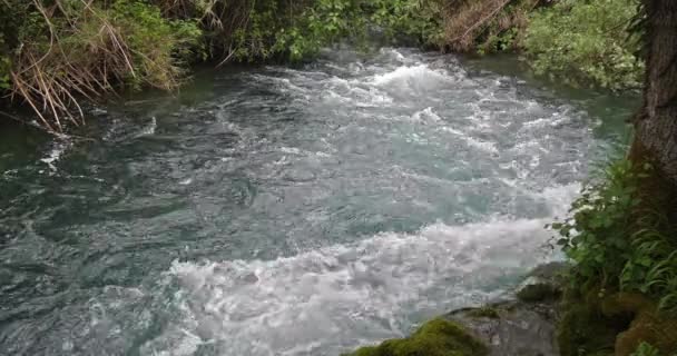 Skradins Waterfall Skradinski Buk Parque Natural Krka Cerca Sibenik Damaltia — Vídeos de Stock