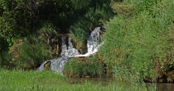 Cascata Rog Roski Slap Parco Naturale Krka Vicino Sibenik Damaltia — Video Stock