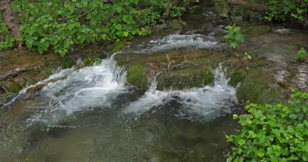 Skradins滝 Skradinski Buk Krka自然公園 ダマルティアのシベニク近く クロアチア — ストック動画