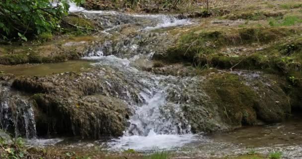 Водопад Сединьш Сединьский Бук Природный Парк Крка Неар Шибеньш Дамалтии — стоковое видео