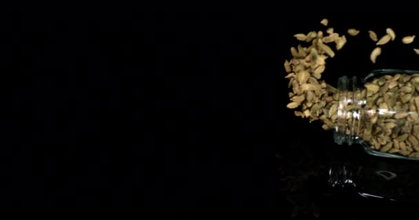 Cardamom Elettaria Cardamomum Spice Falling Black Background Crockery Slow Motion — стокове відео