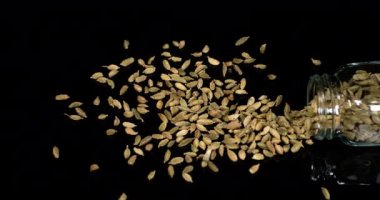 Kakule, karaağaç kakule, baharat Kara Arkaplan, Crockery, Ağır çekim 4k